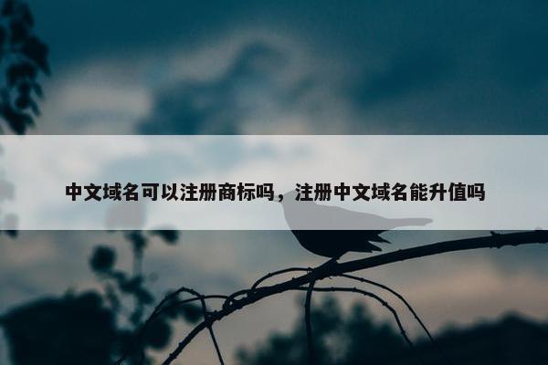 中文域名可以注册商标吗，注册中文域名能升值吗