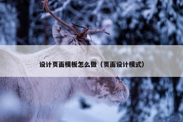 设计页面模板怎么做（页面设计模式）