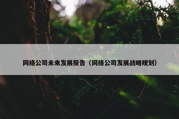 网络公司未来发展报告（网络公司发展战略规划）