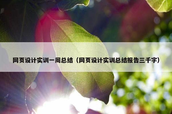 网页设计实训一周总结（网页设计实训总结报告三千字）