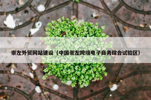 崇左外贸网站建设（中国崇左跨境电子商务综合试验区）