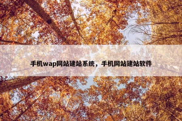 手机wap网站建站系统，手机网站建站软件