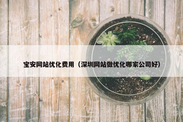 宝安网站优化费用（深圳网站做优化哪家公司好）