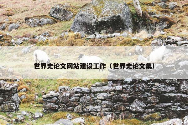 世界史论文网站建设工作（世界史论文集）