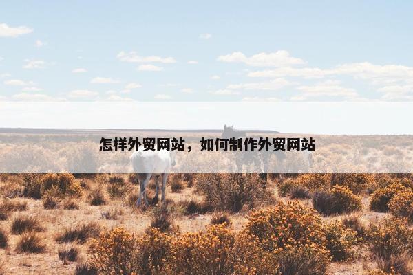 怎样外贸网站，如何制作外贸网站
