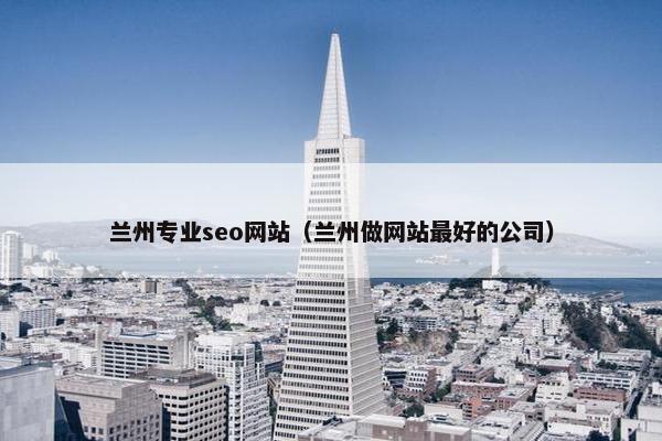 兰州专业seo网站（兰州做网站最好的公司）