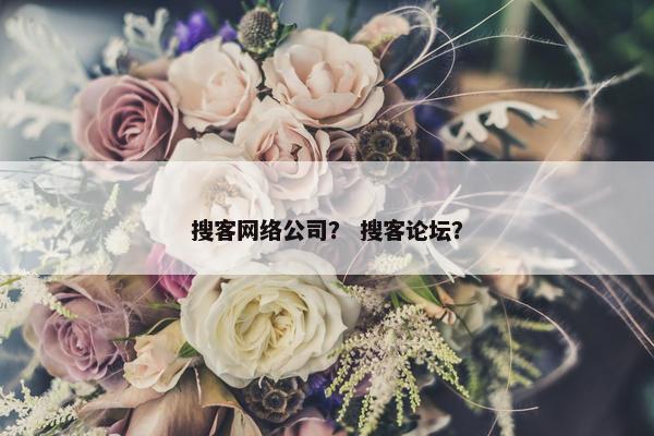 搜客网络公司？ 搜客论坛？