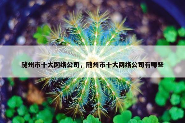 随州市十大网络公司，随州市十大网络公司有哪些
