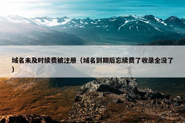 域名未及时续费被注册（域名到期后忘续费了收录全没了）