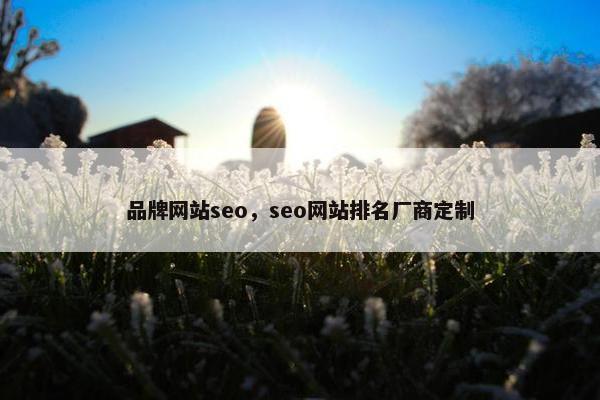 品牌网站seo，seo网站排名厂商定制