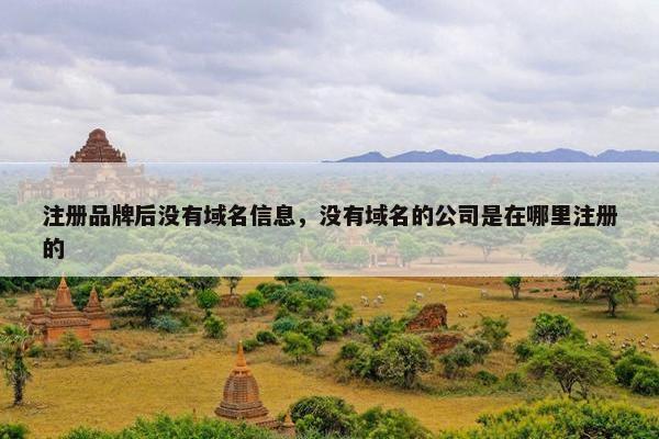 注册品牌后没有域名信息，没有域名的公司是在哪里注册的