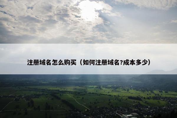 注册域名怎么购买（如何注册域名?成本多少）