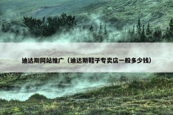 迪达斯网站推广（迪达斯鞋子专卖店一般多少钱）