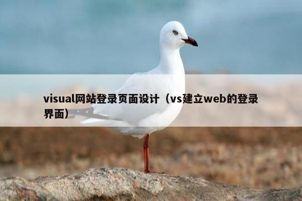 visual网站登录页面设计（vs建立web的登录界面）