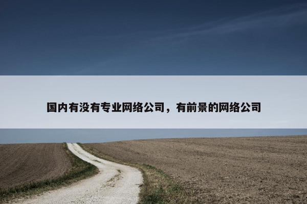 国内有没有专业网络公司，有前景的网络公司