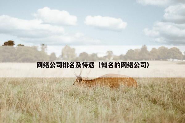 网络公司排名及待遇（知名的网络公司）