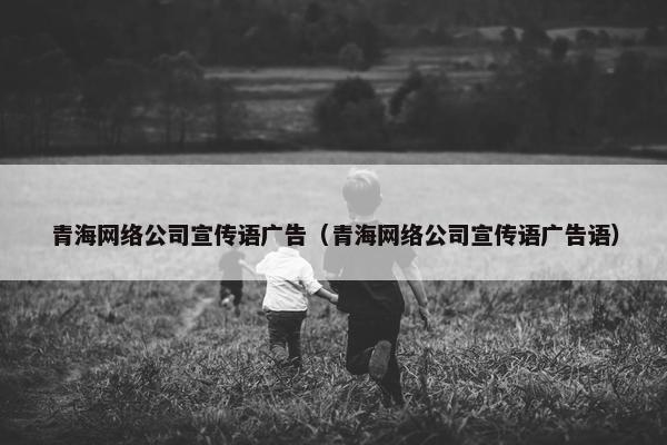 青海网络公司宣传语广告（青海网络公司宣传语广告语）