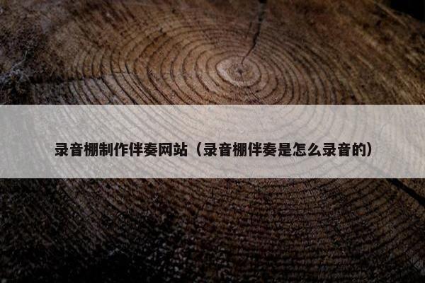 录音棚制作伴奏网站（录音棚伴奏是怎么录音的）