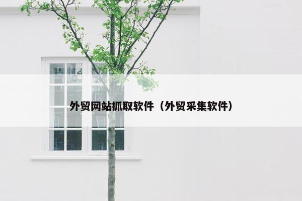 外贸网站抓取软件（外贸采集软件）