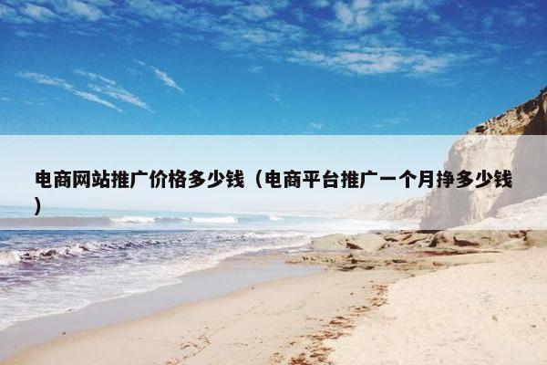电商网站推广价格多少钱（电商平台推广一个月挣多少钱）