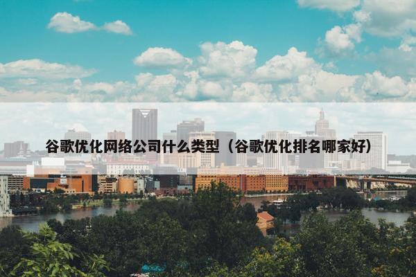 谷歌优化网络公司什么类型（谷歌优化排名哪家好）