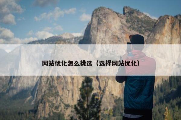 网站优化怎么挑选（选择网站优化）