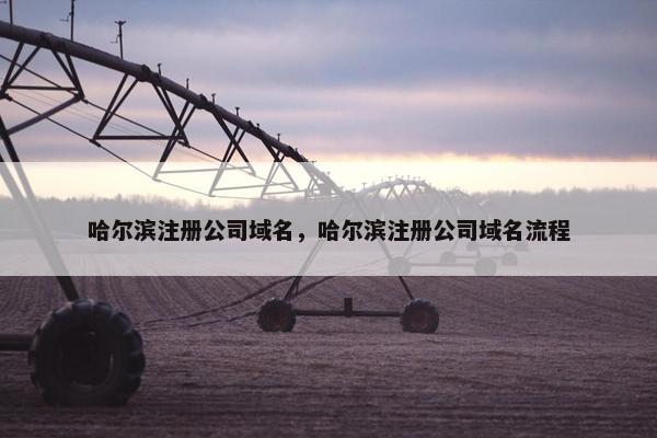 哈尔滨注册公司域名，哈尔滨注册公司域名流程