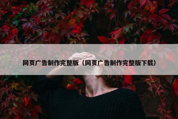 网页广告制作完整版（网页广告制作完整版下载）