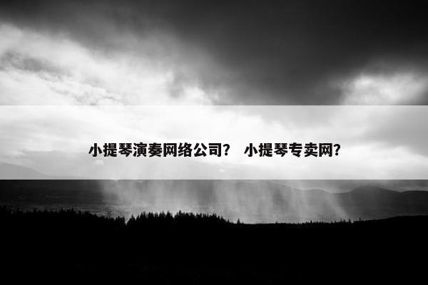 小提琴演奏网络公司？ 小提琴专卖网？