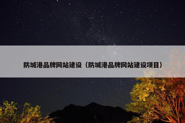防城港品牌网站建设（防城港品牌网站建设项目）