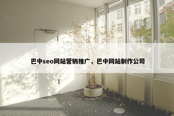 巴中seo网站营销推广，巴中网站制作公司
