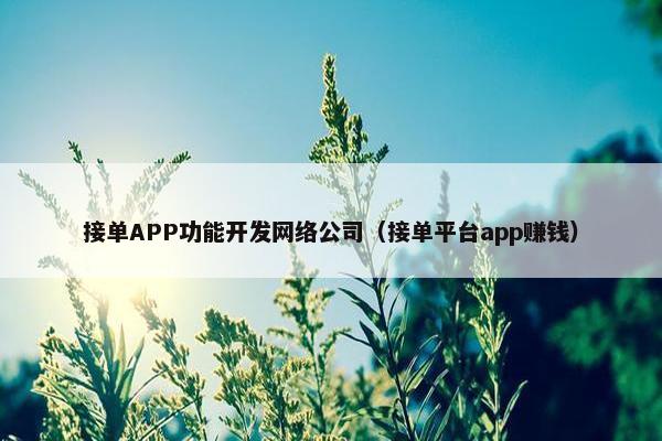 接单APP功能开发网络公司（接单平台app赚钱）