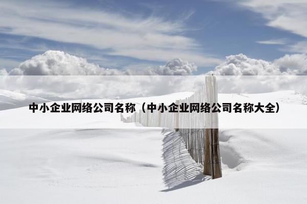 中小企业网络公司名称（中小企业网络公司名称大全）