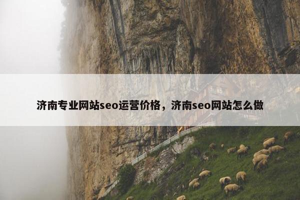 济南专业网站seo运营价格，济南seo网站怎么做