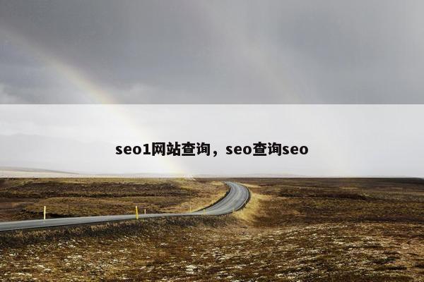 seo1网站查询，seo查询seo