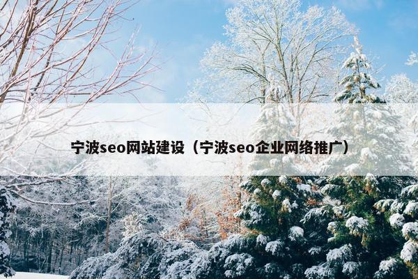 宁波seo网站建设（宁波seo企业网络推广）