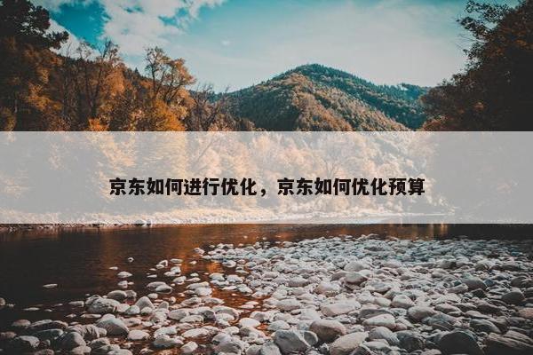 京东如何进行优化，京东如何优化预算