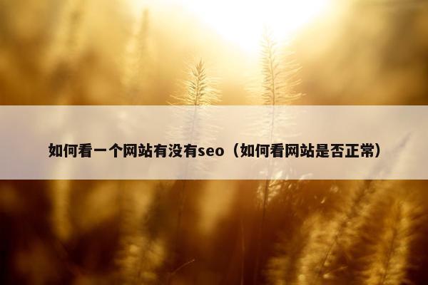 如何看一个网站有没有seo（如何看网站是否正常）