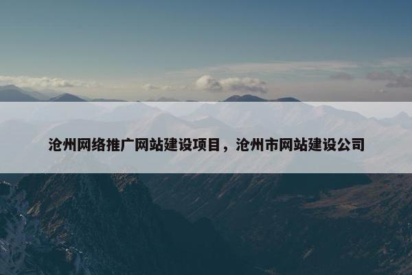 沧州网络推广网站建设项目，沧州市网站建设公司