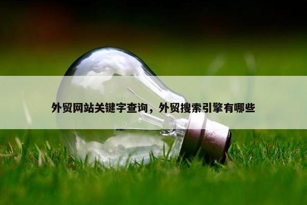外贸网站关键字查询，外贸搜索引擎有哪些