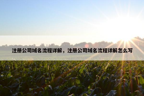 注册公司域名流程详解，注册公司域名流程详解怎么写