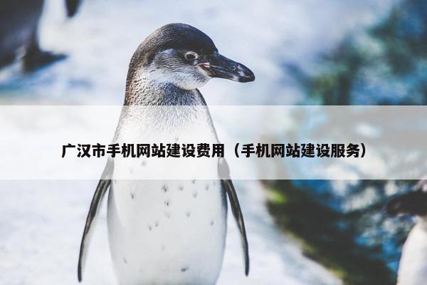 广汉市手机网站建设费用（手机网站建设服务）