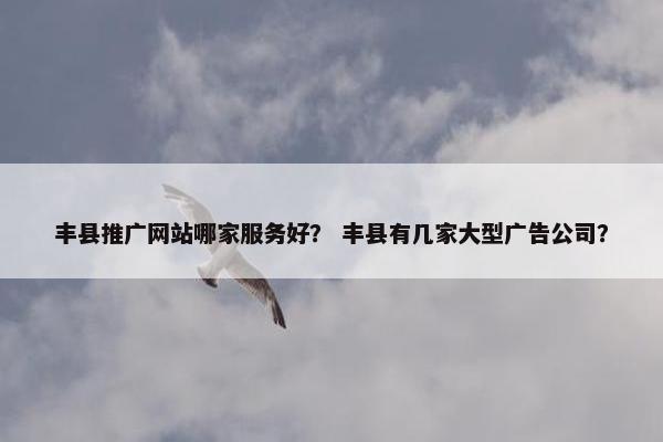丰县推广网站哪家服务好？ 丰县有几家大型广告公司？