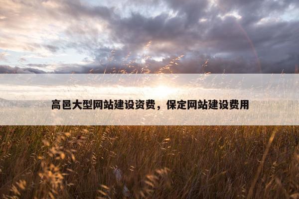 高邑大型网站建设资费，保定网站建设费用