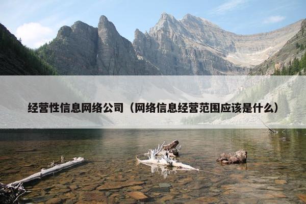 经营性信息网络公司（网络信息经营范围应该是什么）