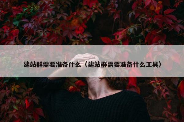 建站群需要准备什么（建站群需要准备什么工具）