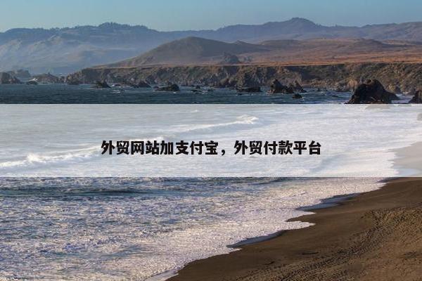 外贸网站加支付宝，外贸付款平台