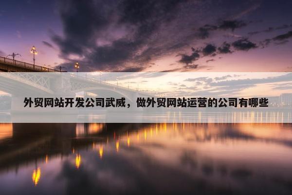 外贸网站开发公司武威，做外贸网站运营的公司有哪些