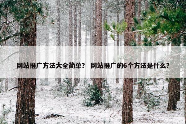 网站推广方法大全简单？ 网站推广的6个方法是什么？
