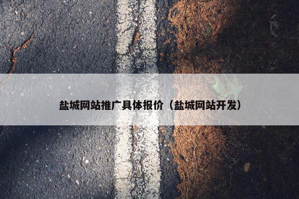 盐城网站推广具体报价（盐城网站开发）